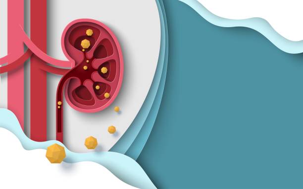 Best Kidney Stone Specialist in Thane